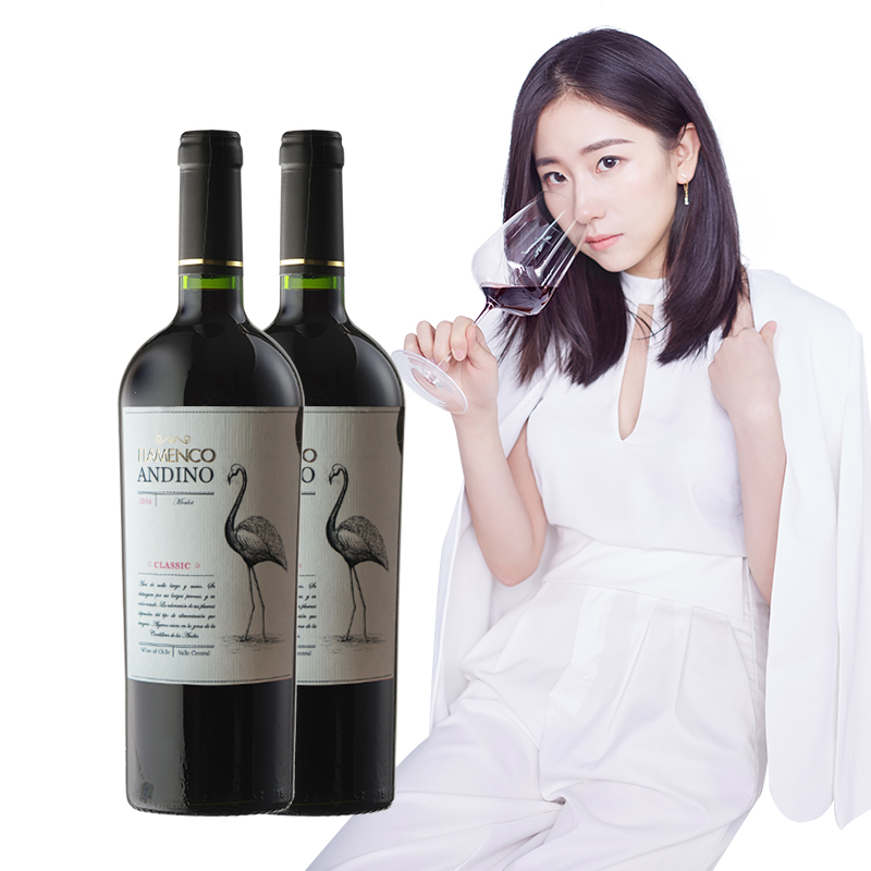 醉鹅娘 红酒智利原瓶进口梅洛干红鸟酒葡萄酒2支装