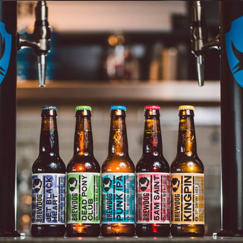 酿酒狗brewdog 英国进口 经典6瓶组合