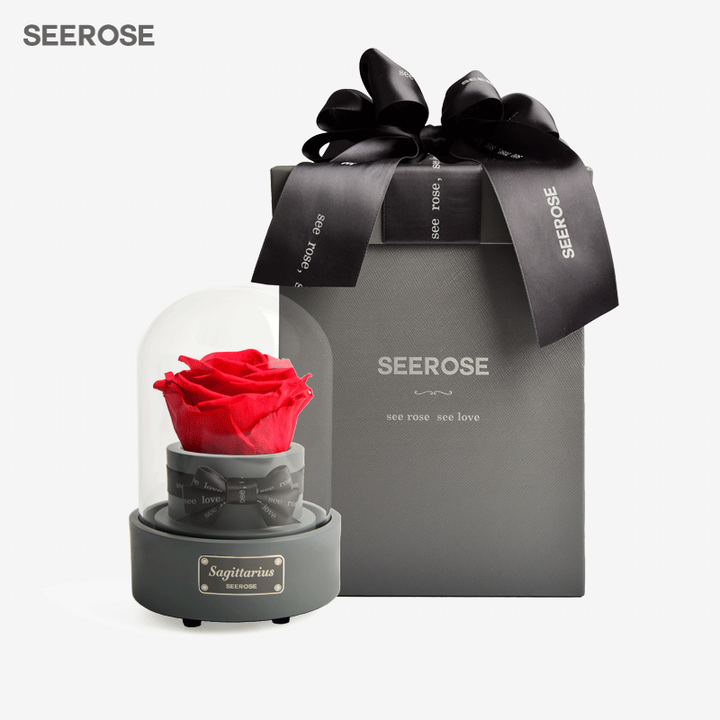 SEEROSE音乐盒玻璃罩12星座进口永生花玫瑰礼盒圣诞情人节生日礼物