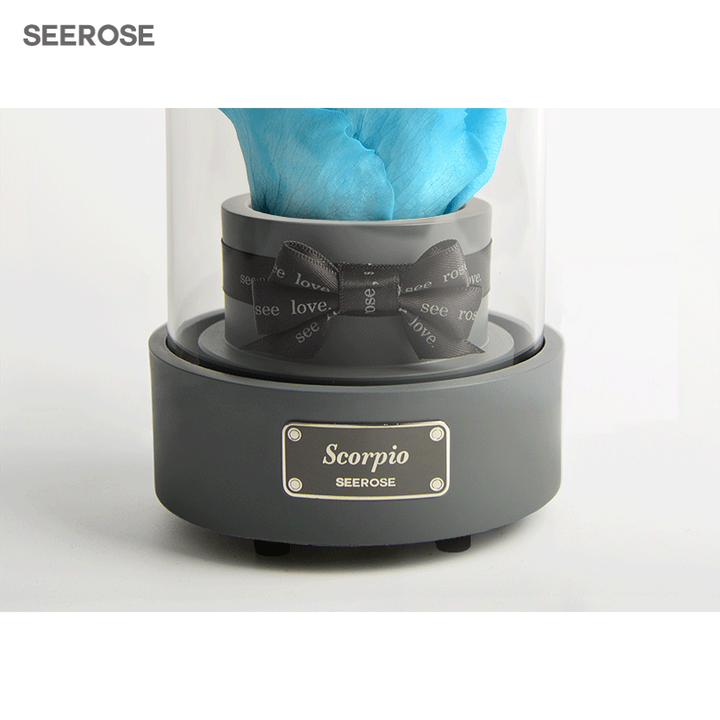 SEEROSE音乐盒玻璃罩12星座进口永生花玫瑰礼盒圣诞情人节生日礼物