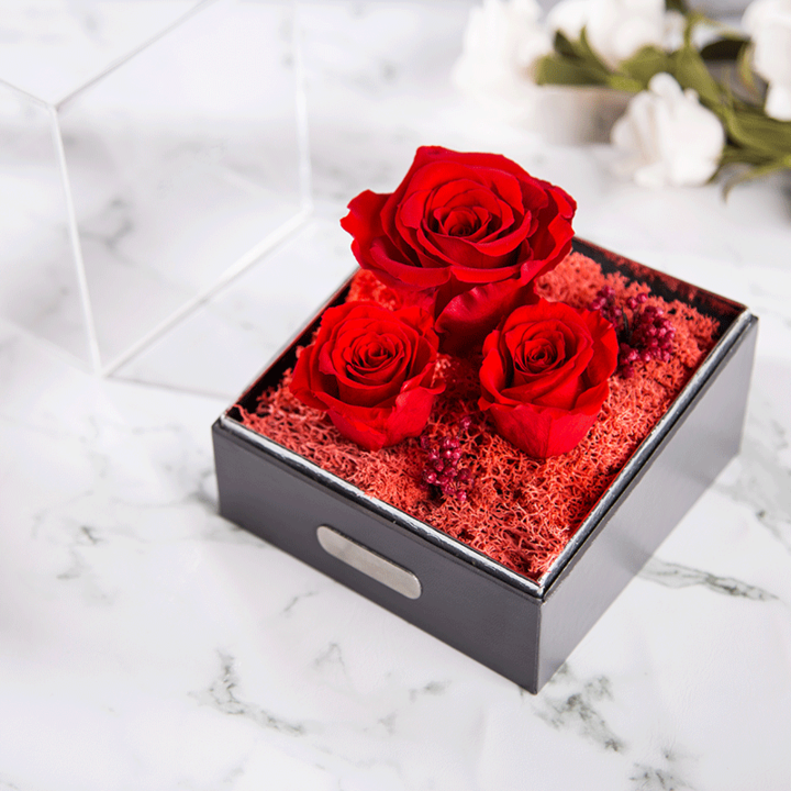 seerose进口永生花红粉玫瑰花玻璃罩