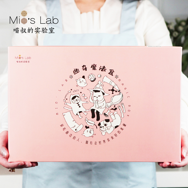 喵叔的实验室 手工曲奇饼干魔法礼盒