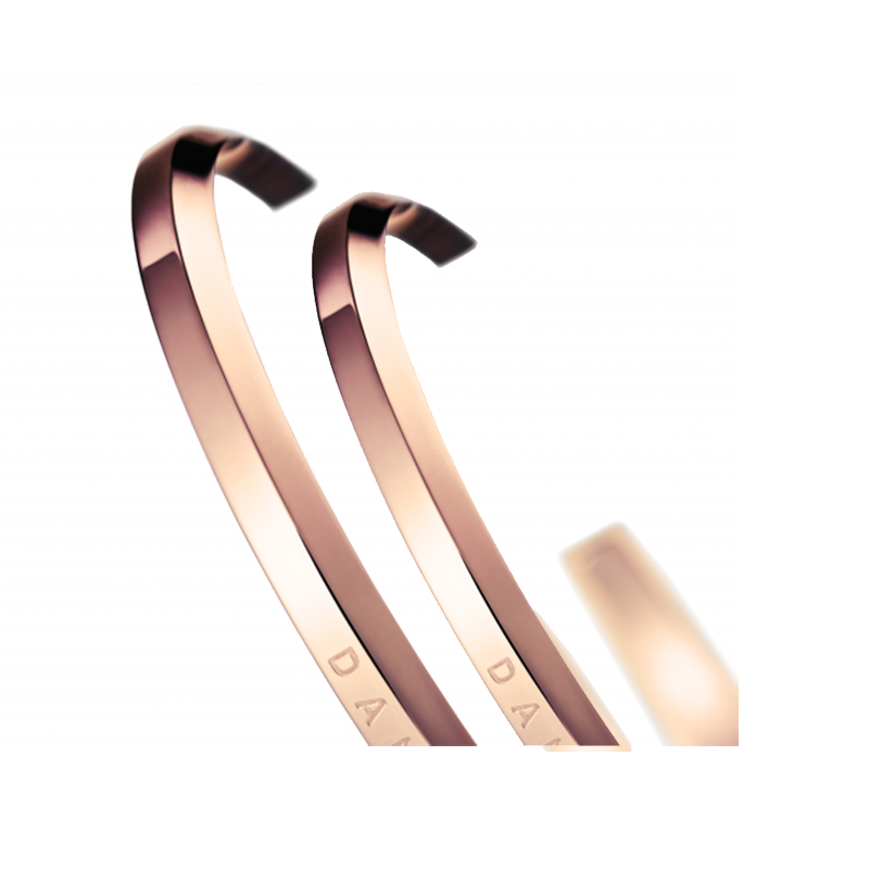 Daniel Wellington 玫瑰金色 情侣开口手镯套装