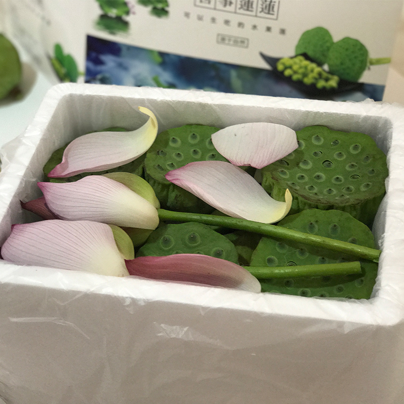 【原产地】水果莲蓬16朵/盒 顺丰包邮
