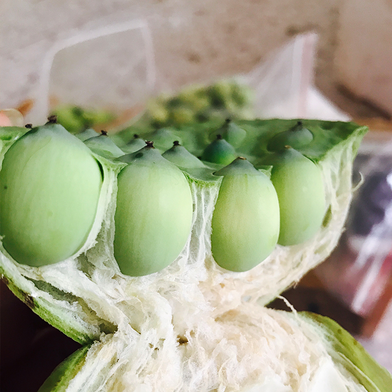 【原产地】水果莲蓬16朵/盒 顺丰包邮