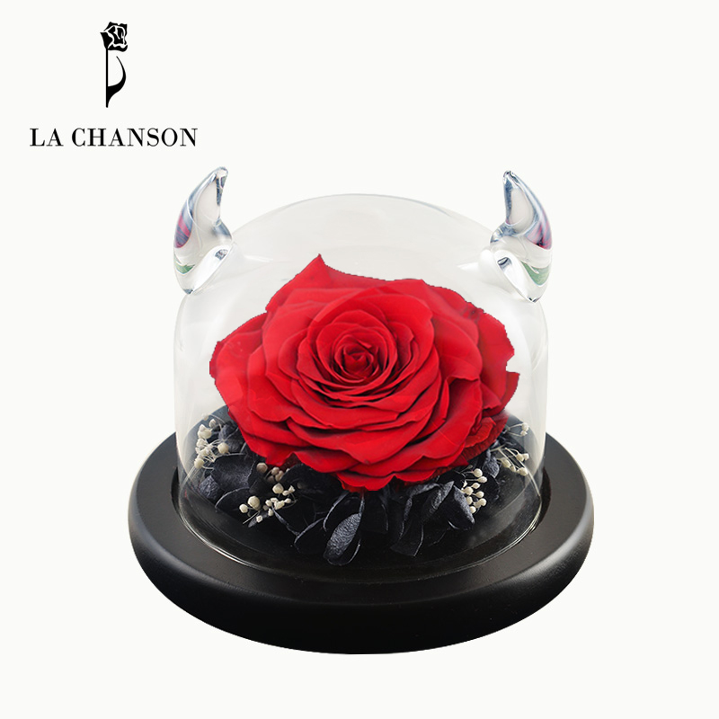 小恶魔的玫瑰花永生花景观瓶