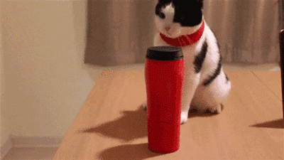 Frpd7PRpfDefuyJssQTsVc5jT8G1.gif