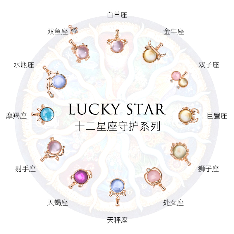 十二星座项链925纯银