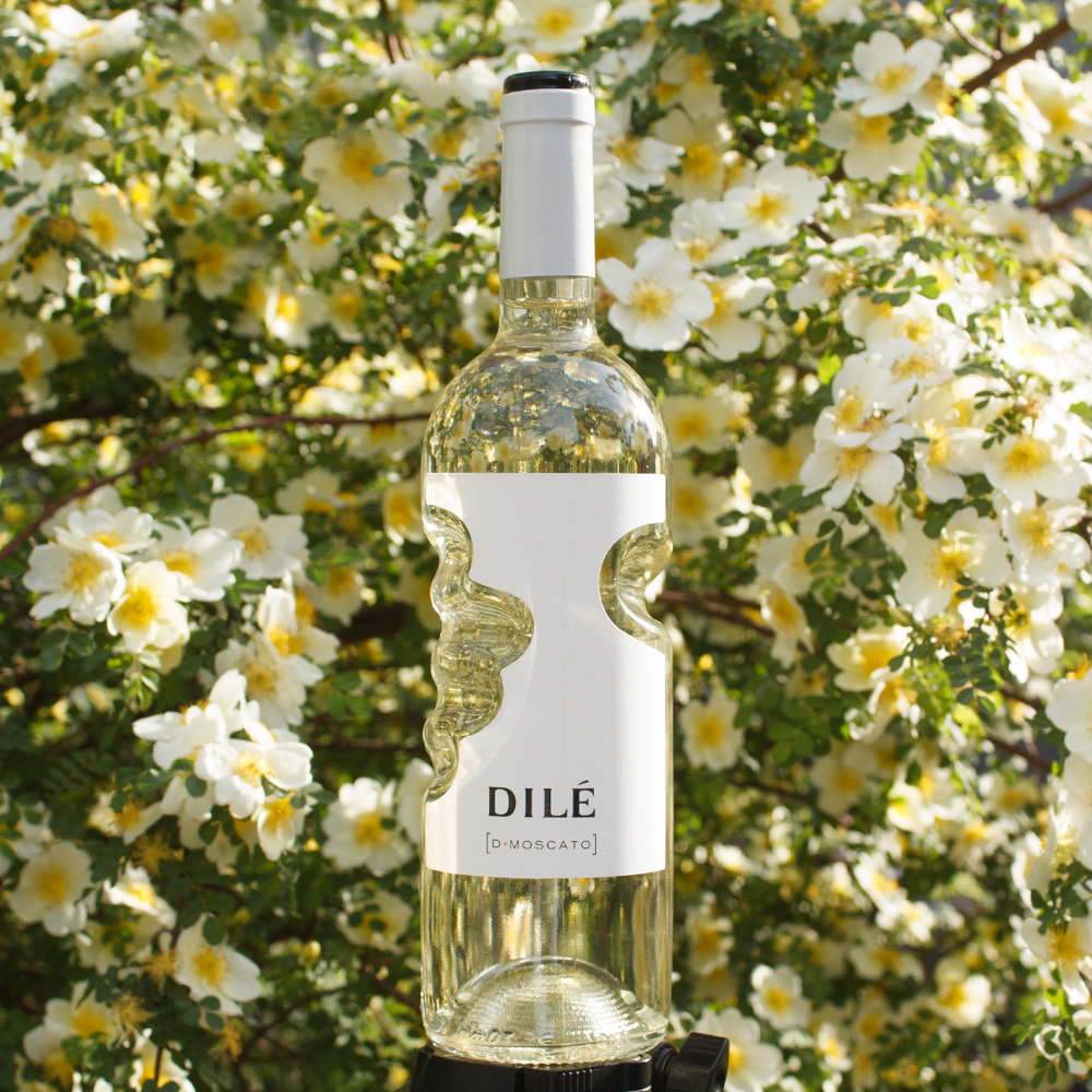 意大利DILE天使之手 甜微起泡 白葡萄酒